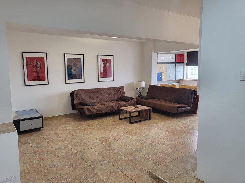 Piata Iancului, proprietar,